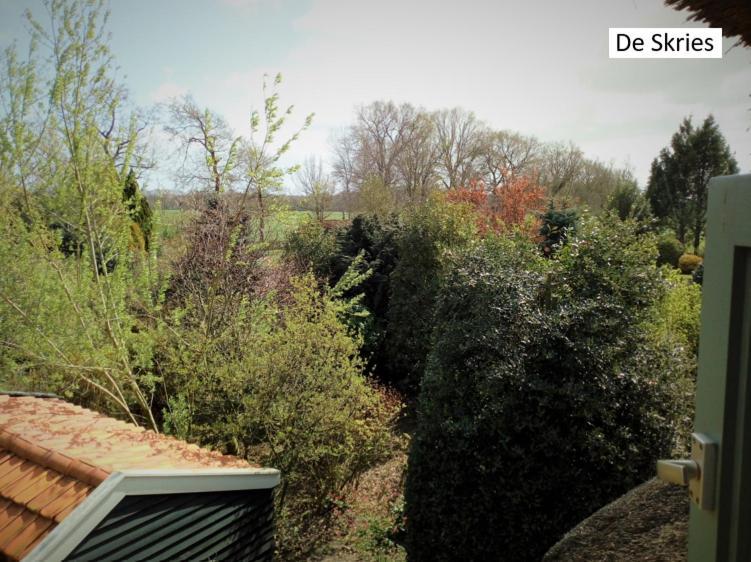 B&B De Flecht - De Ljip Nijega Dış mekan fotoğraf